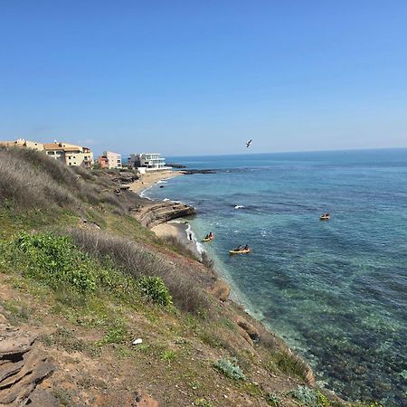 Studio Prestige Avec Terrasse, Ile Des Pecheurs, Vue Port アグド エクステリア 写真